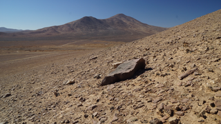 There's Life on the Closest Thing We Have to Mars<em></em>
